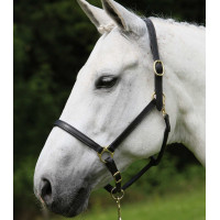 Capezzina in cuoio Star Robust Nero Capezzina in cuoio Star Robust Nero