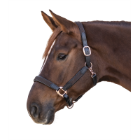 Capezza Star Mix Marrone / oro rosato Capezza Star Mix Marrone / oro rosato