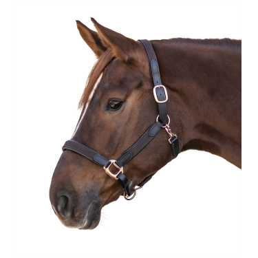 Capezza Star Mix Marrone / oro rosato Capezza Star Mix Marrone / oro rosato