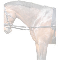 Redini fisse in nylon Star Nero