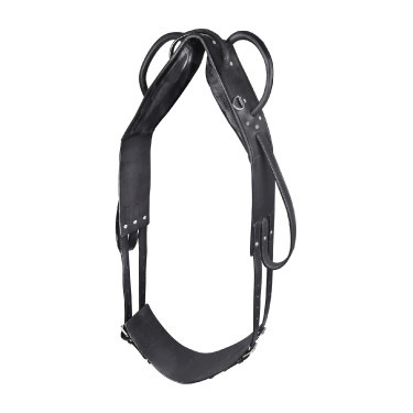 Sottopancia Star volteggio e longhina Nero