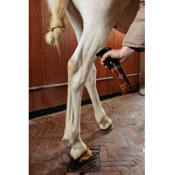 Smacchiatore macchie verdi e polvere Mandorla Grooming Deluxe by Kentucky Smacchiatore macchie verdi e polvere Mandorla Grooming Deluxe by Kentucky