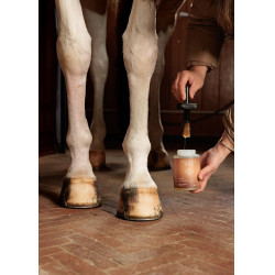 Olio per piedi Shine Grooming Deluxe by Kentucky Naturale Marrone