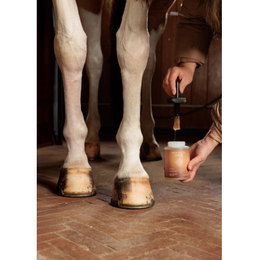 Olio per piedi Shine Grooming Deluxe by Kentucky Olio per piedi Shine Grooming Deluxe by Kentucky