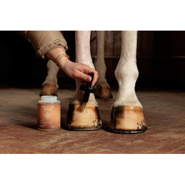 Olio per piedi Shine Grooming Deluxe by Kentucky Olio per piedi Shine Grooming Deluxe by Kentucky