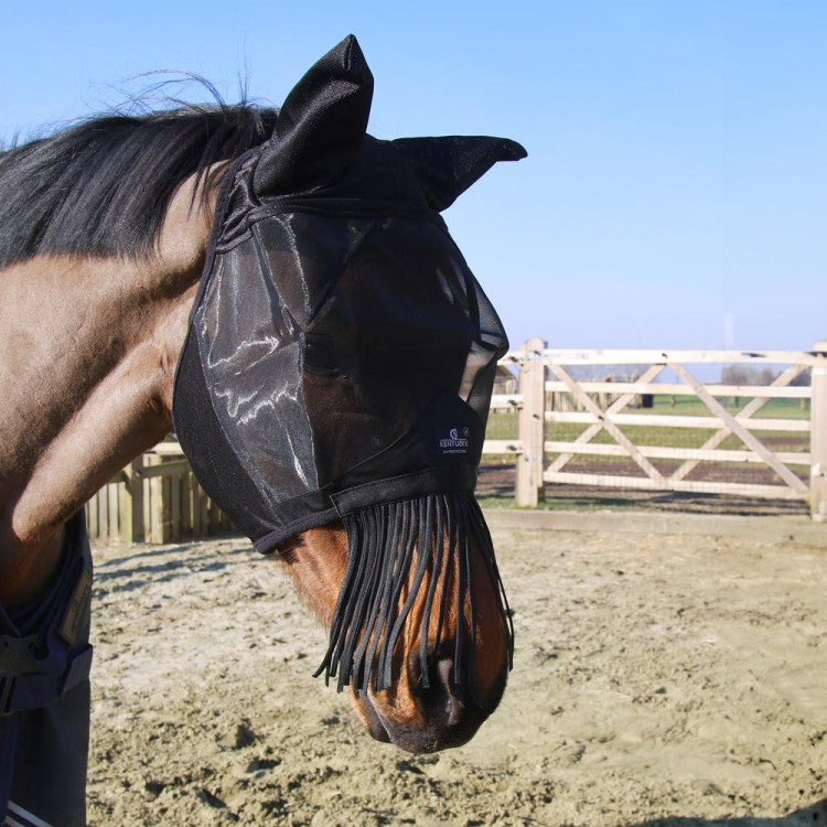 Maschera antimosche classic orecchie & frange per il naso Kentucky Maschera antimosche classic orecchie & frange per il naso Kentucky