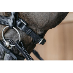 Museruola combinata intrecciata con Pull pack Dy'on New English Collection Nero Museruola combinata intrecciata con Pull pack Dy'on New English Collection Nero