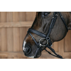 Museruola combinata intrecciata con Pull pack Dy'on New English Collection Nero Museruola combinata intrecciata con Pull pack Dy'on New English Collection Nero