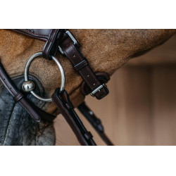 Museruola combinata intrecciata con Pull pack Dy'on New English Collection