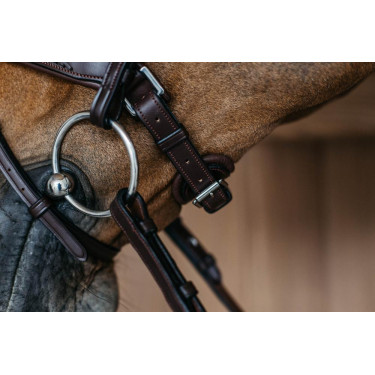 Museruola combinata intrecciata con Pull pack Dy'on New English Collection