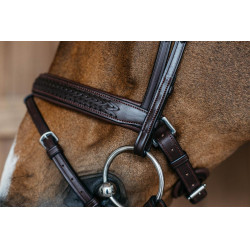 Museruola combinata intrecciata con Pull pack Dy'on New English Collection Marrone Museruola combinata intrecciata con Pull pack Dy'on New English Collection Marrone