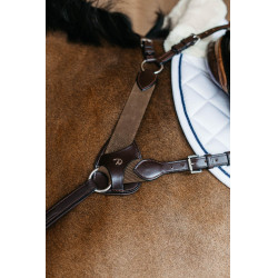 Cuscinetto di protezione per pettorale a 5 punti Dy'on Marrone