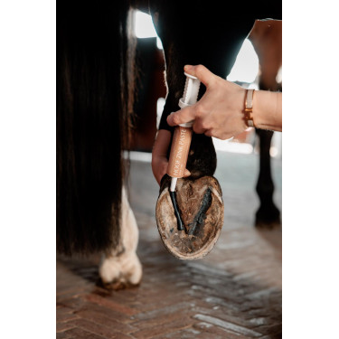 Pasta di zinco Equi Hoof Grooming Deluxe by Kentucky Pasta di zinco Equi Hoof Grooming Deluxe by Kentucky
