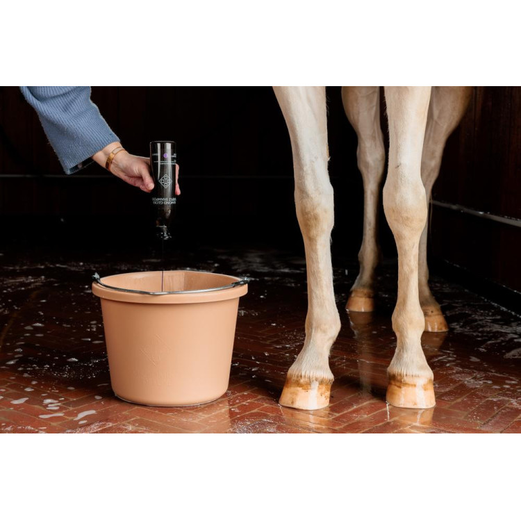 Shampoo Viola alla Mandorla Grooming Deluxe by Kentucky Shampoo Viola alla Mandorla Grooming Deluxe by Kentucky