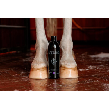 Shampoo Viola alla Mandorla Grooming Deluxe by Kentucky Shampoo Viola alla Mandorla Grooming Deluxe by Kentucky