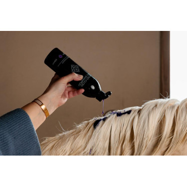 Shampoo Viola alla Mandorla Grooming Deluxe by Kentucky Shampoo Viola alla Mandorla Grooming Deluxe by Kentucky