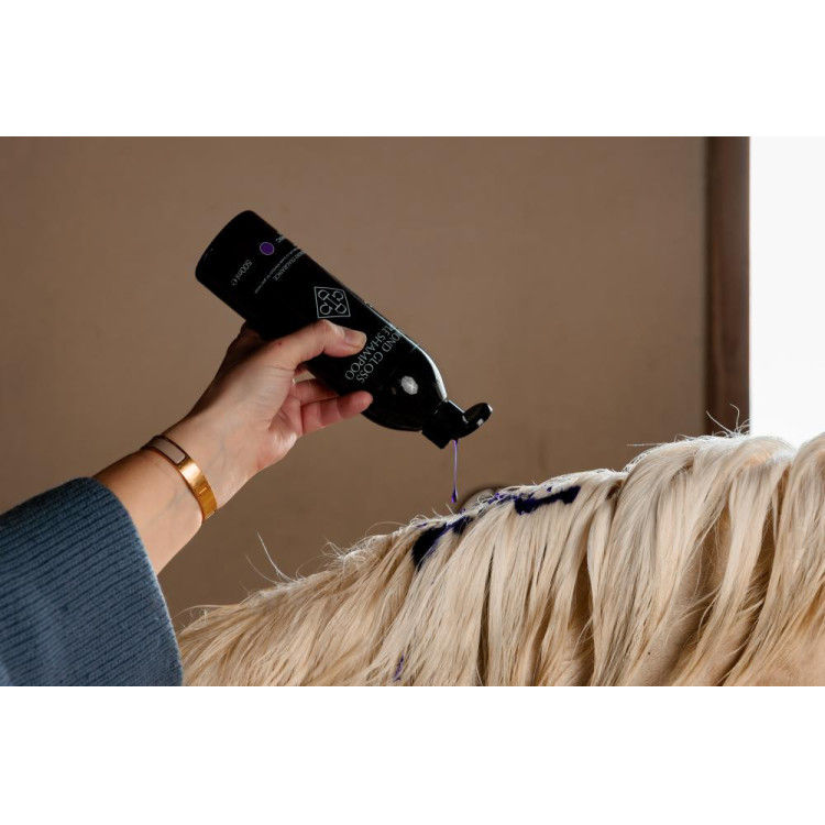 Shampoo Viola alla Mandorla Grooming Deluxe by Kentucky Shampoo Viola alla Mandorla Grooming Deluxe by Kentucky