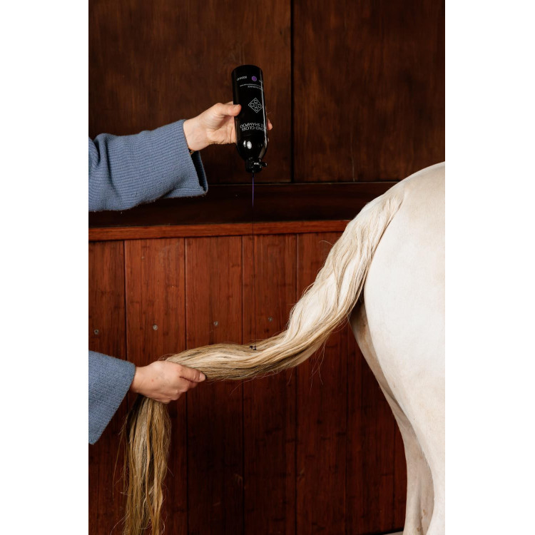 Shampoo Viola alla Mandorla Grooming Deluxe by Kentucky Shampoo Viola alla Mandorla Grooming Deluxe by Kentucky