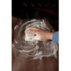 Shampoo Solido Grooming Deluxe by Kentucky Mandorla Marrone