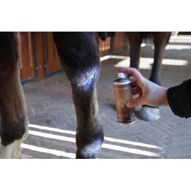 Spray allo Zinco Grooming Deluxe by Kentucky Spray allo Zinco Grooming Deluxe by Kentucky