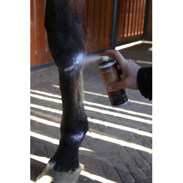 Spray allo Zinco Grooming Deluxe by Kentucky Spray allo Zinco Grooming Deluxe by Kentucky