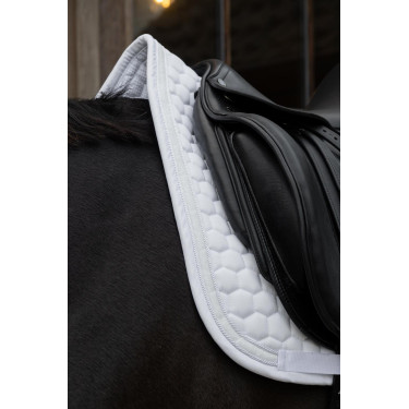Sottosella Glitter Band Dressage Kentucky Sottosella Glitter Band Dressage Kentucky
