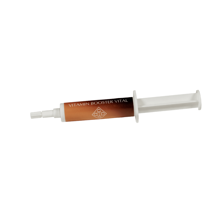 Vitamin Booster Vital Grooming Deluxe di Kentucky