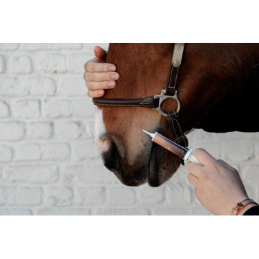 Vitamin Booster Vital Grooming Deluxe di Kentucky Vitamin Booster Vital Grooming Deluxe di Kentucky