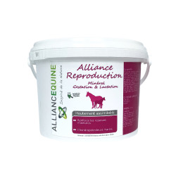 Alleanza Riproduzione Alleanza Equina