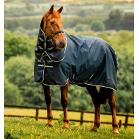 Coperta Amigo Ripstop Horseware 900D Plus Turnout 100g Marine witney Blu marino