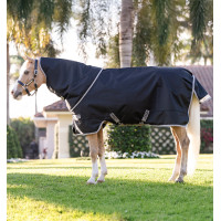 Coperta Horseware Amigo 1200D Plus Pony Turnout 250g Nero / grigio titanio / argento