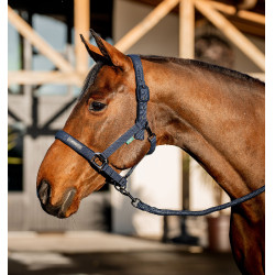 Capestro e lunghina Amigo Horseware Marina Blu marino Capestro e lunghina Amigo Horseware Marina Blu marino