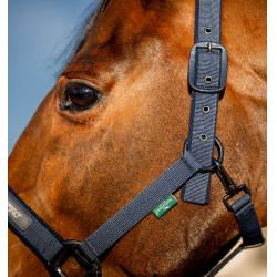 Capestro e lunghina Amigo Horseware Marina Blu marino Capestro e lunghina Amigo Horseware Marina Blu marino