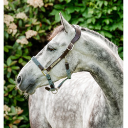 Capestro Horseware intrecciato Signature Marrone / blu navy / nebbia blu Multicolore