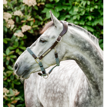 Capestro Horseware intrecciato Signature Marrone / blu navy / nebbia blu Multicolore