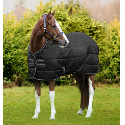 Coperta Horseware Amigo Diamond Insulator 200g Nero / nero / argento Coperta Horseware Amigo Diamond Insulator 200g Nero / nero / argento