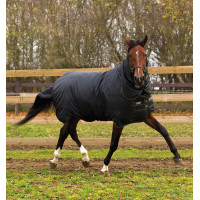 Coperta Horseware Trot Plus con copricollo 350g Nero / nero / tan Coperta Horseware Trot Plus con copricollo 350g Nero / nero / tan