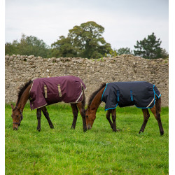 Coperta per puledro Horseware Amigo Ripstop Foal 50g Coperta per puledro Horseware Amigo Ripstop Foal 50g