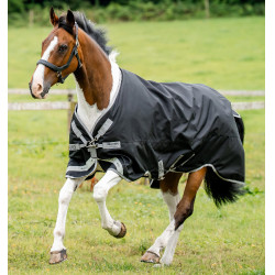 Coperta Horseware Amigo Bravo 12 XL 250g Nero / grigio titanio / argento Coperta Horseware Amigo Bravo 12 XL 250g Nero / grigio titanio / argento
