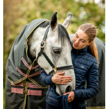 Coperta Horseware Amigo Hero Ripstop Plus con copricollo 0g Grigio shadow / rosa / blu navy Coperta Horseware Amigo Hero Ripstop Plus con copricollo 0g Grigio shadow / rosa / blu navy