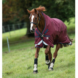 Coperta da esterno Horseware Rambo Wug 200g Bordeaux Coperta da esterno Horseware Rambo Wug 200g Bordeaux