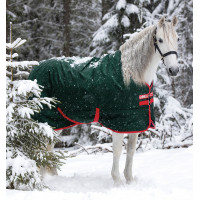 Coperta da esterno Horseware Rambo Original 400g Verde / rosso Coperta da esterno Horseware Rambo Original 400g Verde / rosso