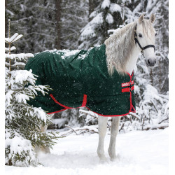 Coperta da esterno Horseware Rambo Original 400g Verde / rosso Coperta da esterno Horseware Rambo Original 400g Verde / rosso