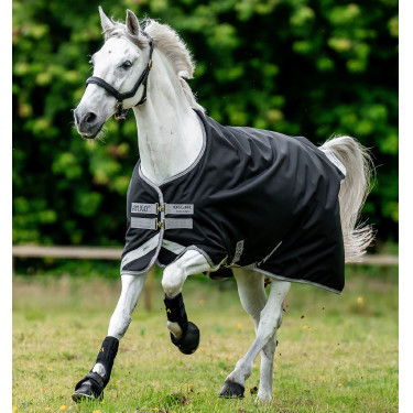 Coperta Horseware Amigo® Bravo 12 Original 250g 1200D Nero / grigio titanio / argento