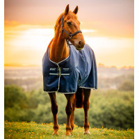 Coperta Horseware Amigo Ripstop 900D Pony Turnout 100g Nero / blu classico Coperta Horseware Amigo Ripstop 900D Pony Turnout 100g Nero / blu classico