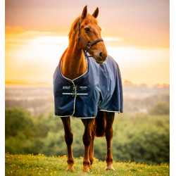 Coperta Horseware Amigo Ripstop 900D Pony Turnout 100g Marine witney Blu marino