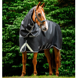 Coperta Horseware Rambo 1680D Turnout Plus 100g Nero / temporale / grigio argento