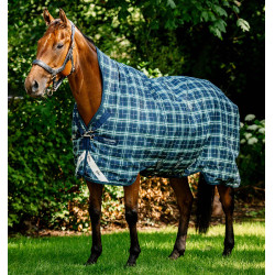Coperta Horseware Rhino Wug Turnout 0g Hunter check /Marine / vert Motivi