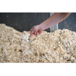 Natural'Assorbe Natural'Innov Natural'Assorbe Natural'Innov