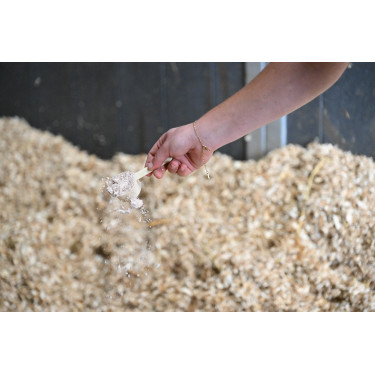 Natural'Assorbe Natural'Innov Natural'Assorbe Natural'Innov